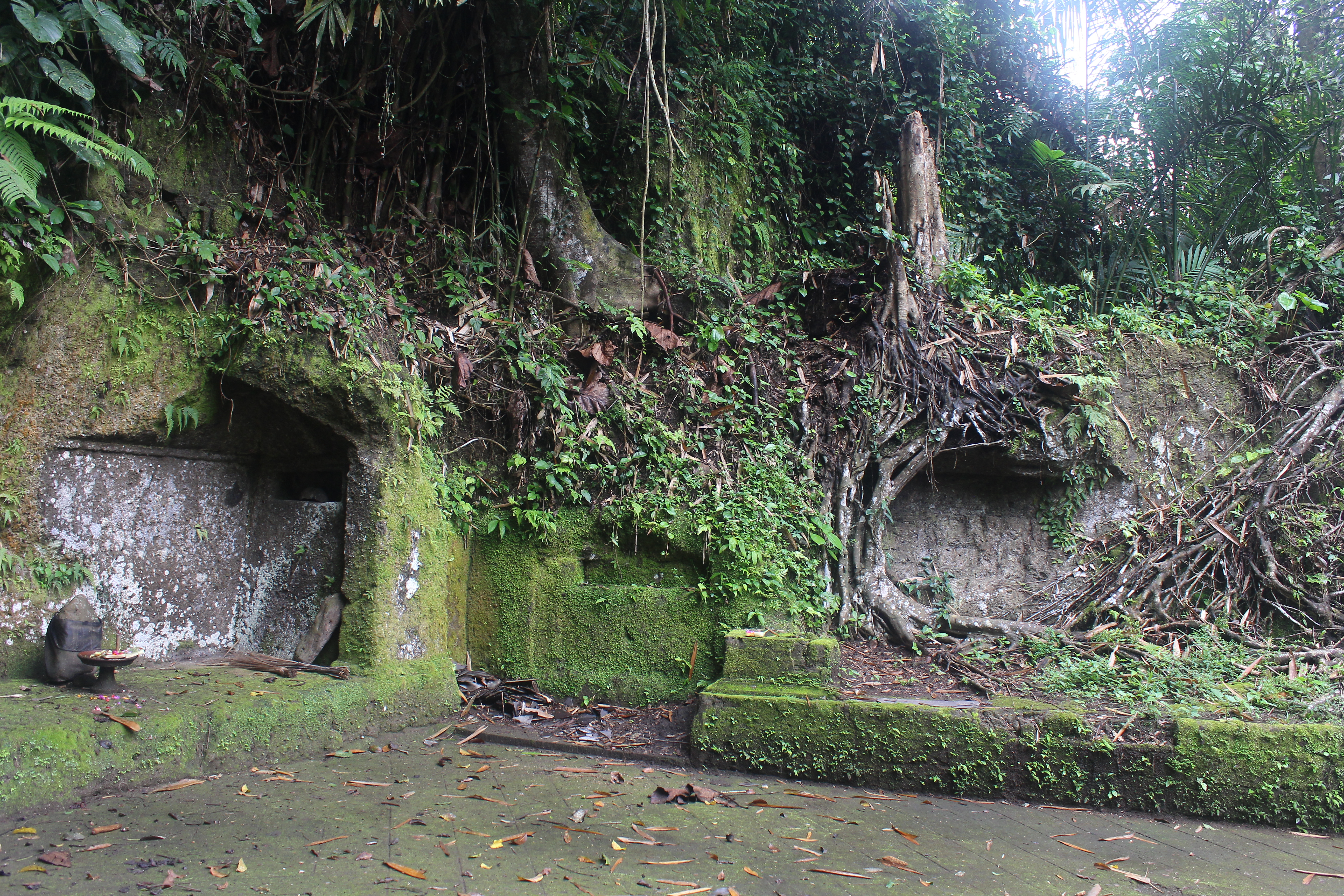 Jungle and moss-covered wall, with cave on the left