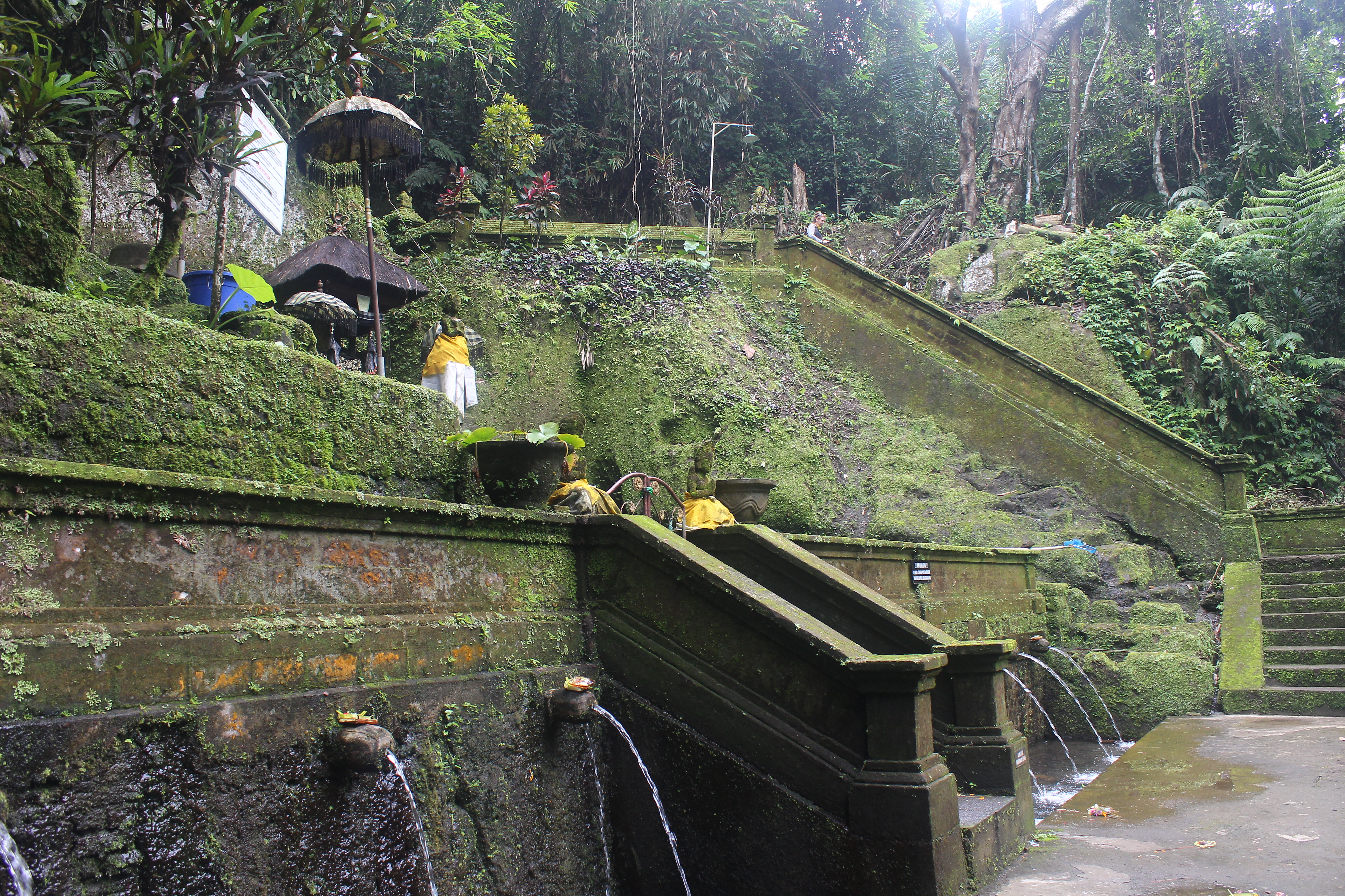 Multilevel bathing place at base of stairs, in the jungle