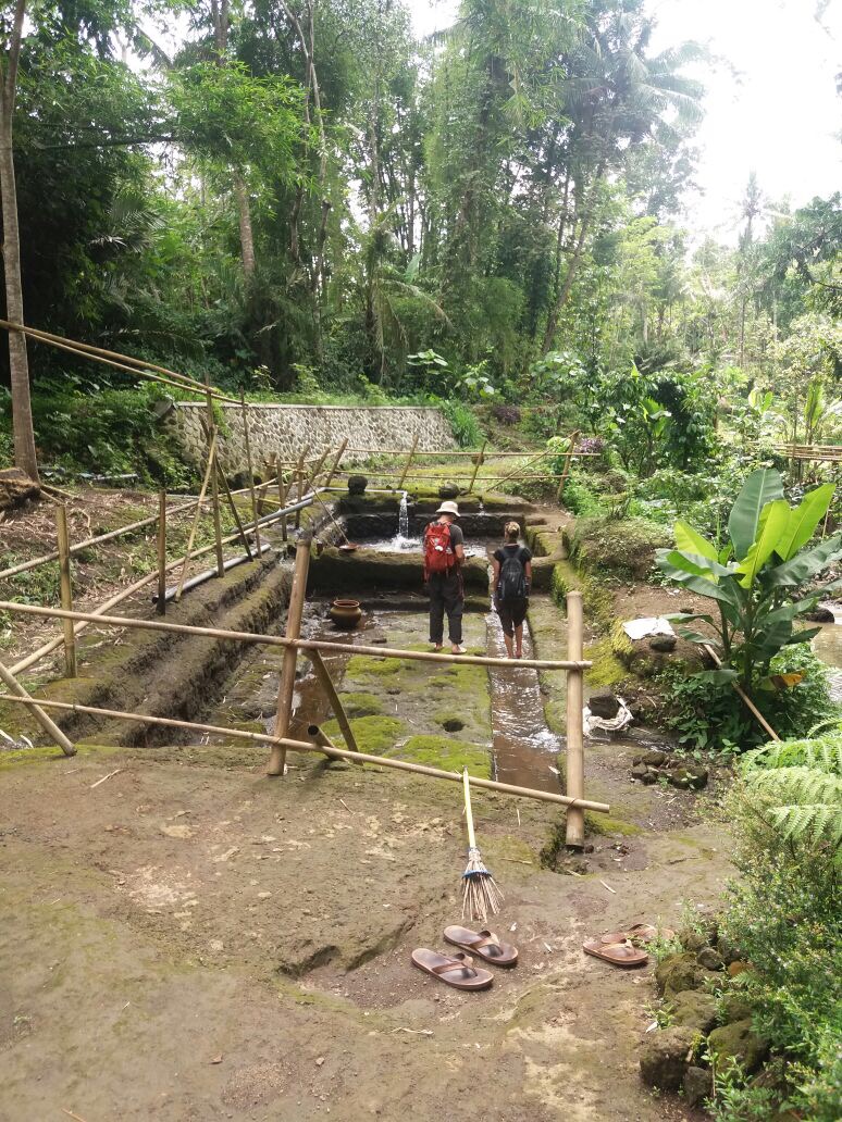 Two people walking in an excavated bathing site in the jungle