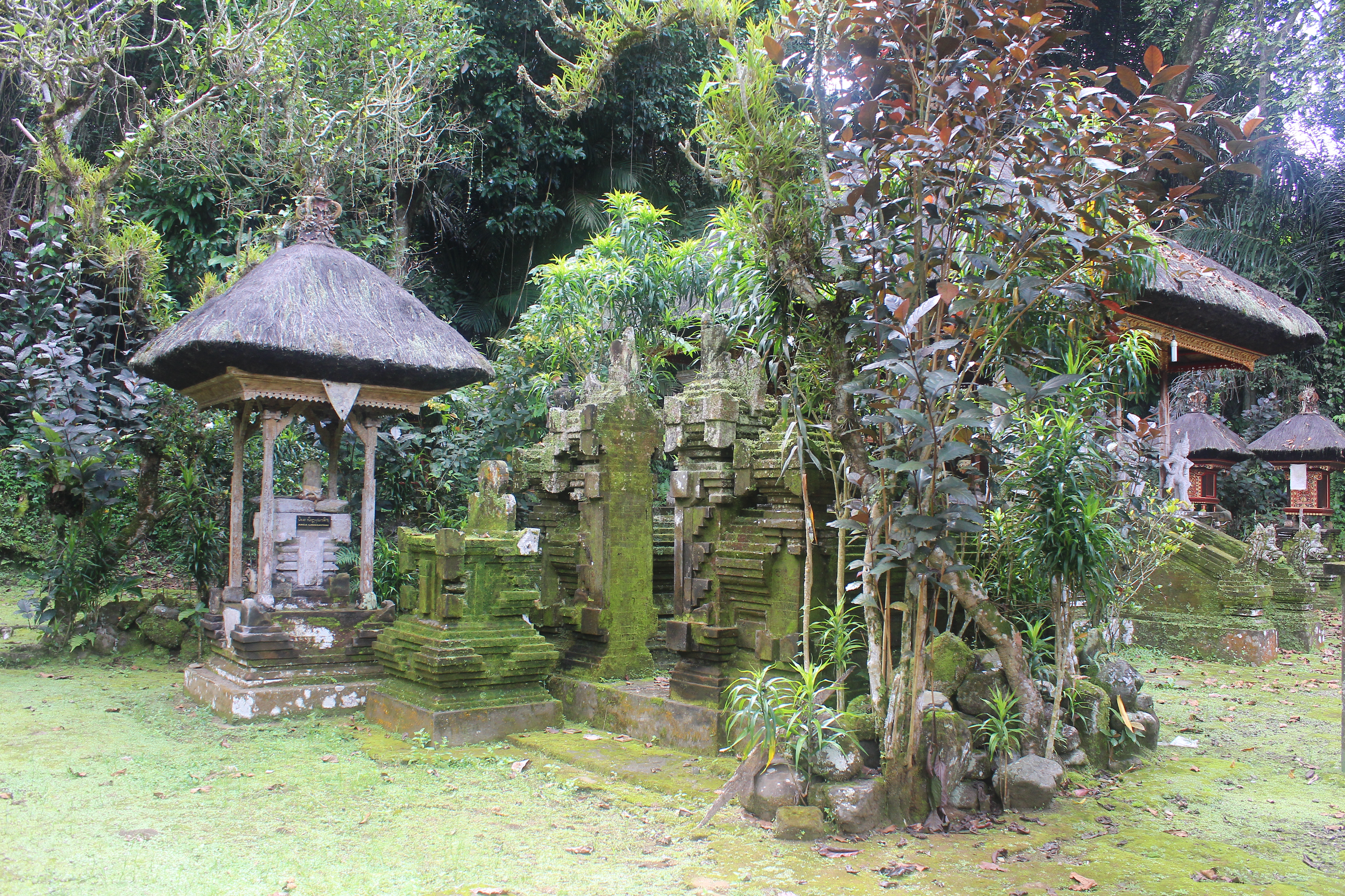Overgrown shrine complex