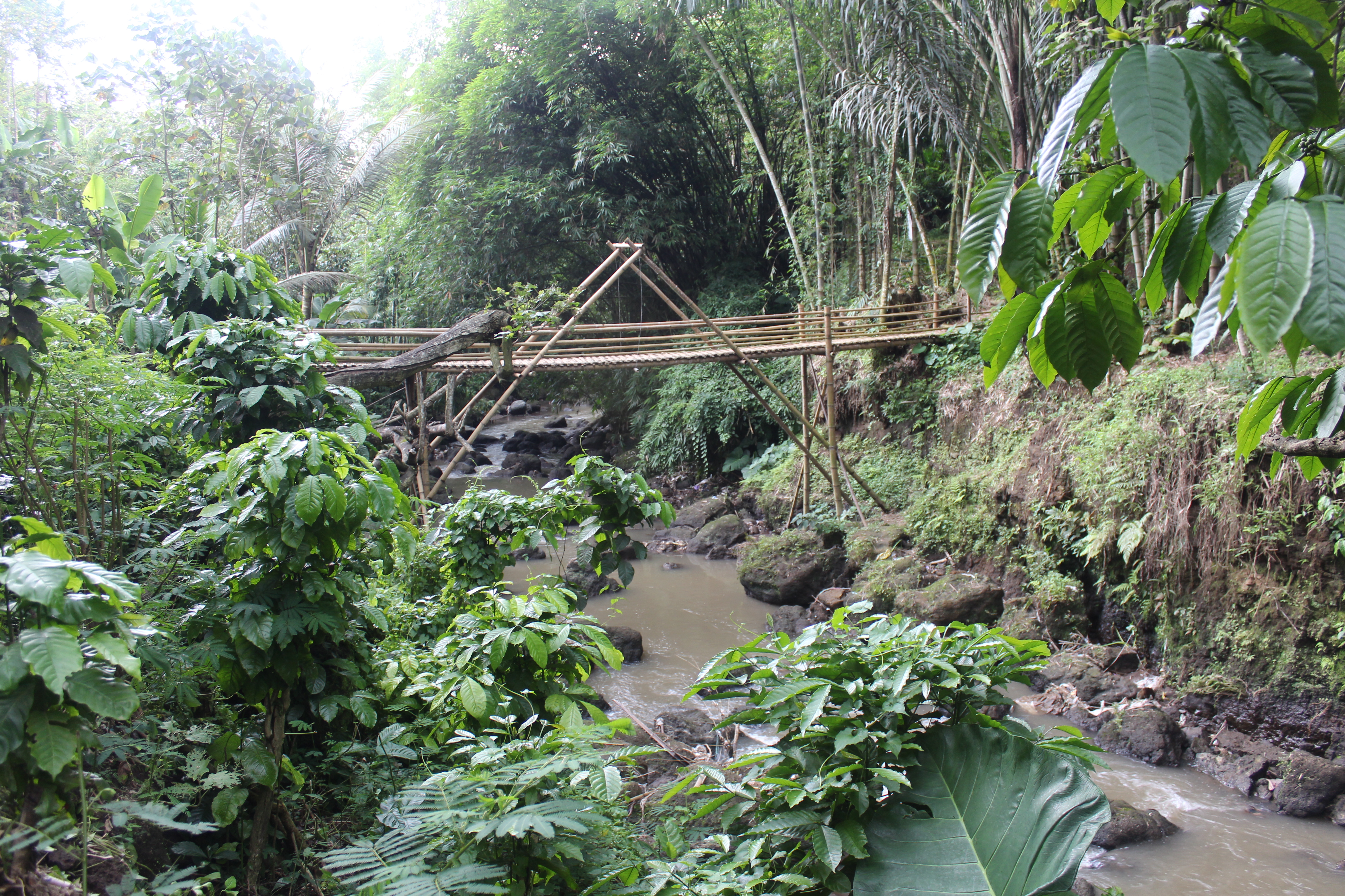 Bridge over ravine